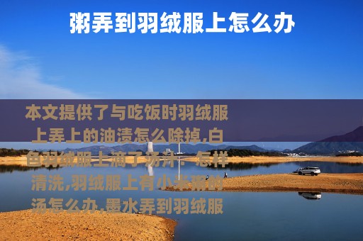 粥弄到羽绒服上怎么办