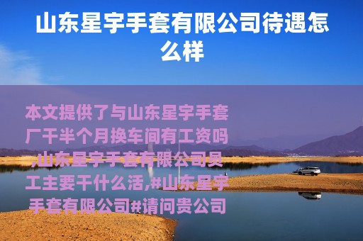 山东星宇手套有限公司待遇怎么样