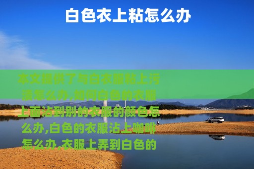 白色衣上粘怎么办