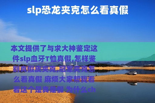 slp恐龙夹克怎么看真假