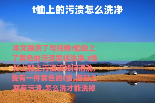 t恤上的污渍怎么洗净