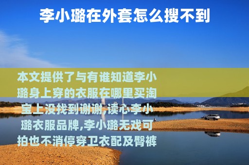李小璐在外套怎么搜不到