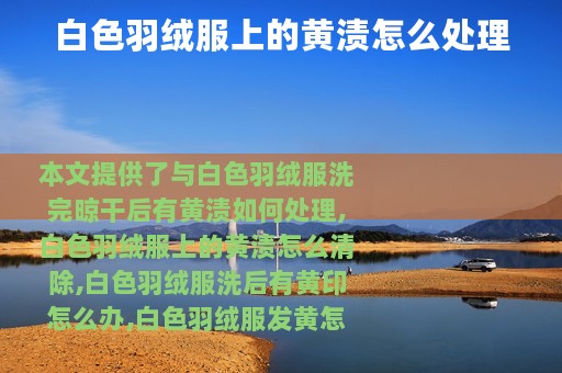 白色羽绒服上的黄渍怎么处理