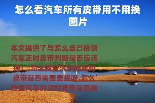 怎么看汽车所有皮带用不用换图片