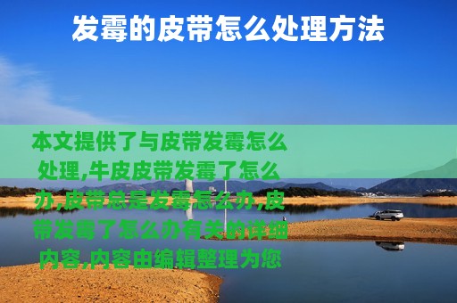 发霉的皮带怎么处理方法