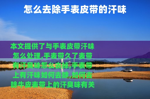 怎么去除手表皮带的汗味