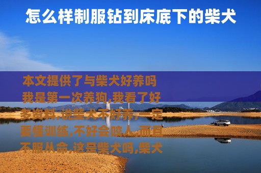怎么样制服钻到床底下的柴犬