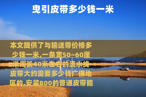 曳引皮带多少钱一米