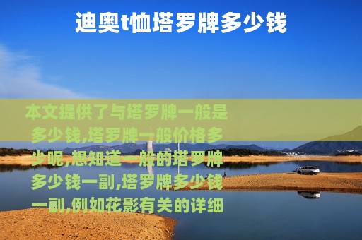 迪奥t恤塔罗牌多少钱