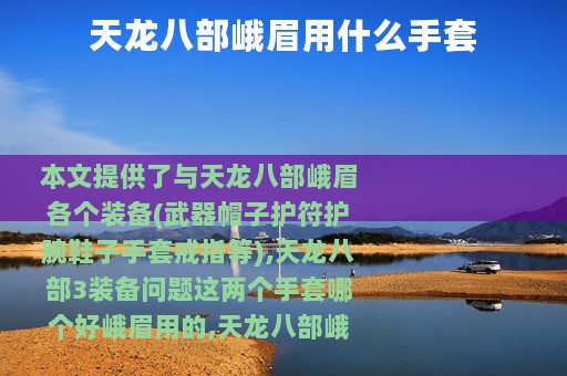 天龙八部峨眉用什么手套