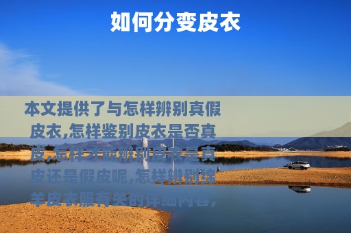 如何分变皮衣