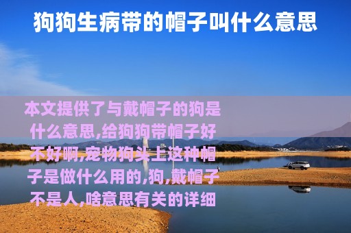 狗狗生病带的帽子叫什么意思