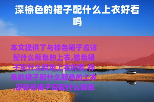 深棕色的裙子配什么上衣好看吗