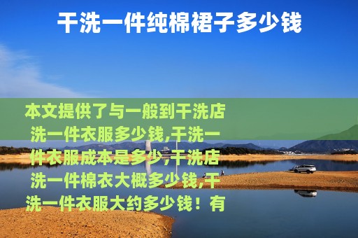 干洗一件纯棉裙子多少钱