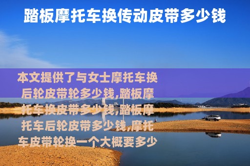 踏板摩托车换传动皮带多少钱