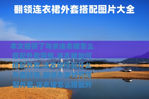 翻领连衣裙外套搭配图片大全