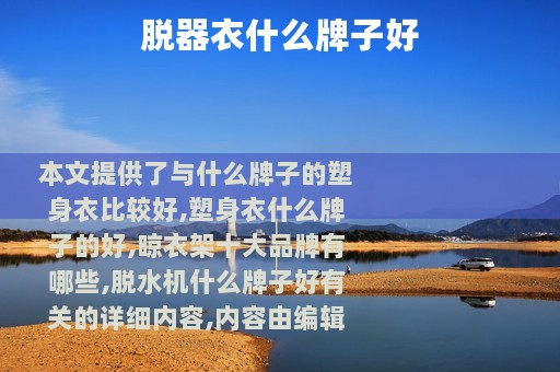 脱器衣什么牌子好