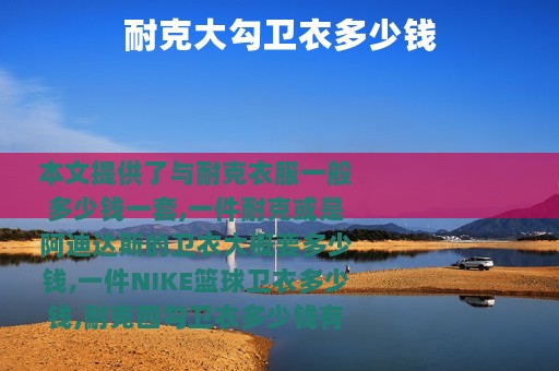 耐克大勾卫衣多少钱