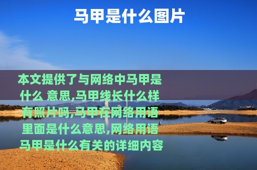马甲是什么图片