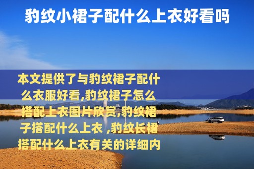 豹纹小裙子配什么上衣好看吗