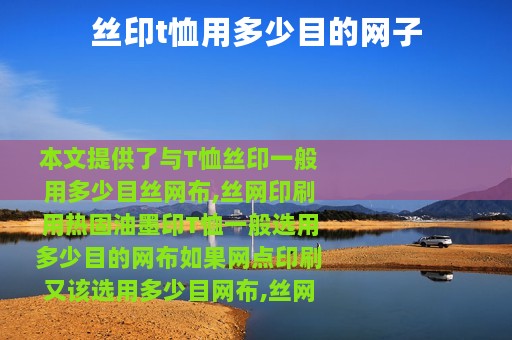 丝印t恤用多少目的网子