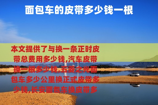 面包车的皮带多少钱一根