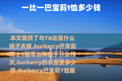 一比一巴宝莉t恤多少钱