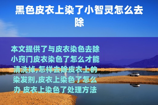 黑色皮衣上染了小智灵怎么去除