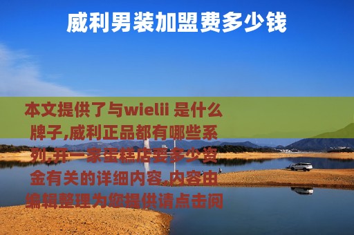 威利男装加盟费多少钱