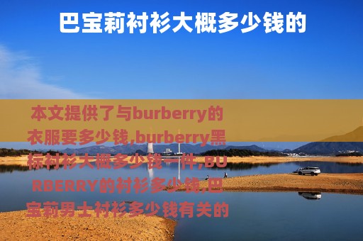 巴宝莉衬衫大概多少钱的