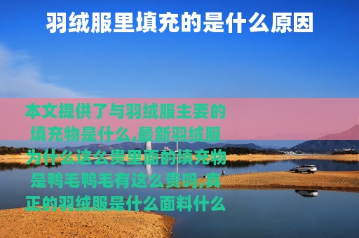 羽绒服里填充的是什么原因