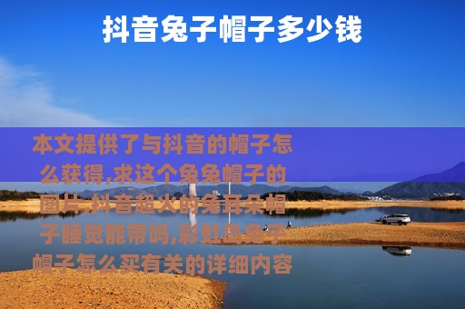 抖音兔子帽子多少钱
