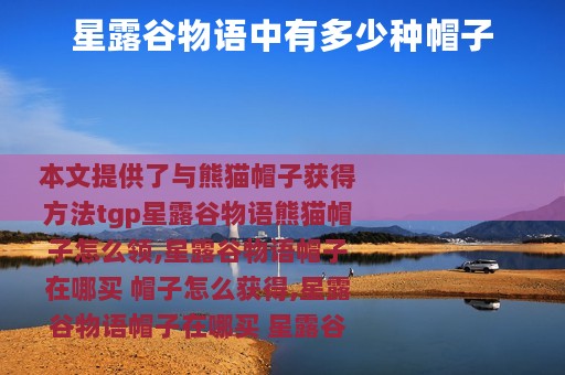 星露谷物语中有多少种帽子