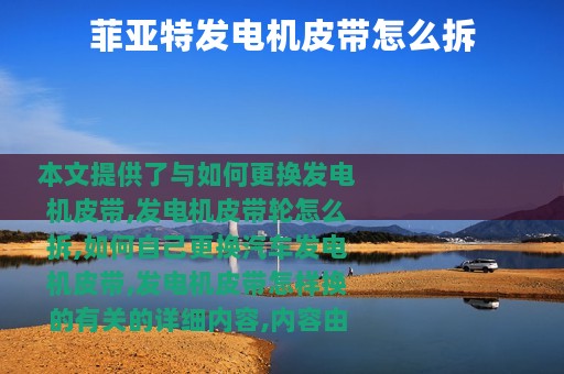 菲亚特发电机皮带怎么拆