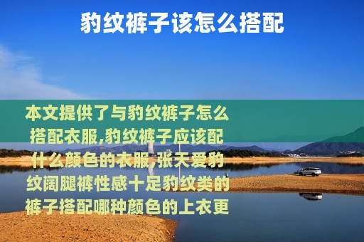 豹纹裤子该怎么搭配