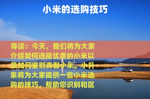 小米的选购技巧