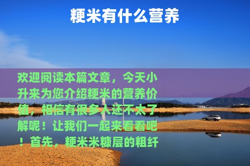 粳米有什么营养