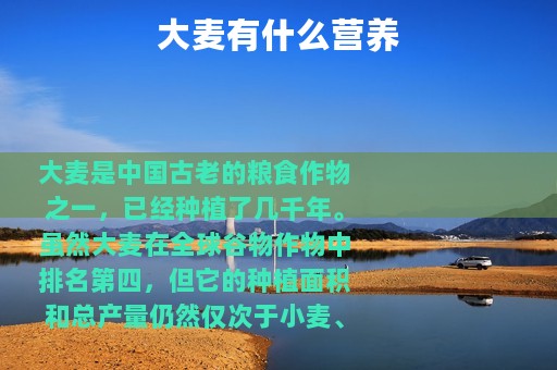 大麦有什么营养