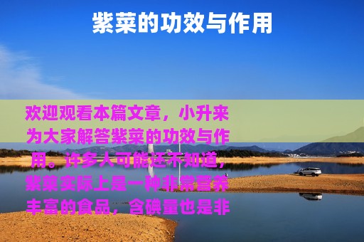紫菜的功效与作用