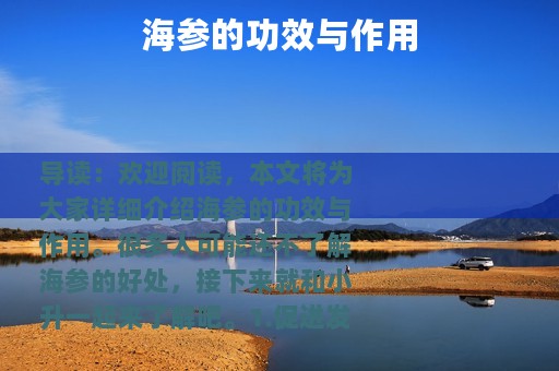 海参的功效与作用