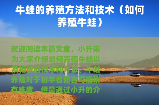 牛蛙的养殖方法和技术（如何养殖牛蛙）