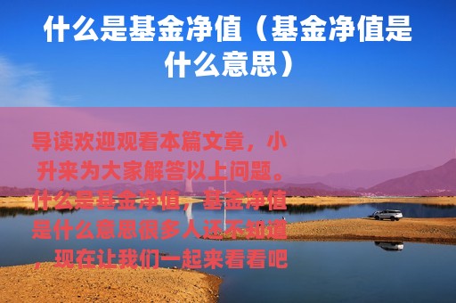 什么是基金净值（基金净值是什么意思）
