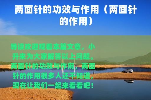 两面针的功效与作用（两面针的作用）
