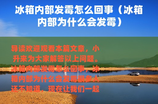 冰箱内部发霉怎么回事（冰箱内部为什么会发霉）