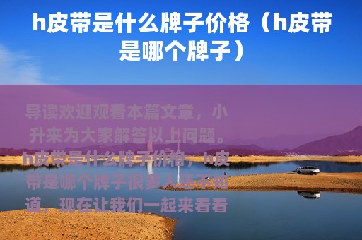 h皮带是什么牌子价格（h皮带是哪个牌子）