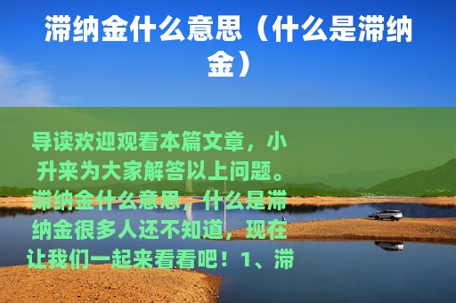 滞纳金什么意思（什么是滞纳金）