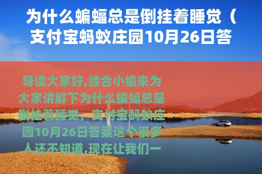 为什么蝙蝠总是倒挂着睡觉（支付宝蚂蚁庄园10月26日答案）
