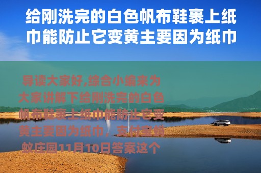 给刚洗完的白色帆布鞋裹上纸巾能防止它变黄主要因为纸巾（支付宝蚂蚁庄园11月10日答案）