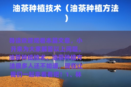油茶种植技术（油茶种植方法）