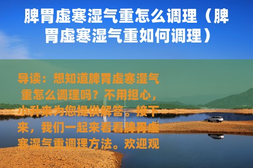 脾胃虚寒湿气重怎么调理（脾胃虚寒湿气重如何调理）
